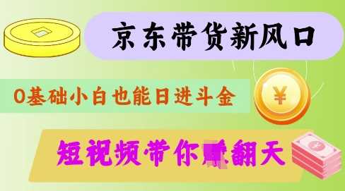 最新京东短视频带货代运营秘籍，轻松躺挣【揭秘】-3YVIP资源库