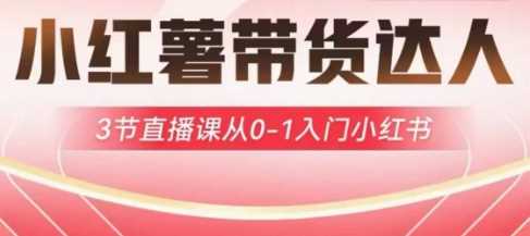 小红薯达人带货启航计划，3节直播课从0-1入门小红书-3YVIP资源库