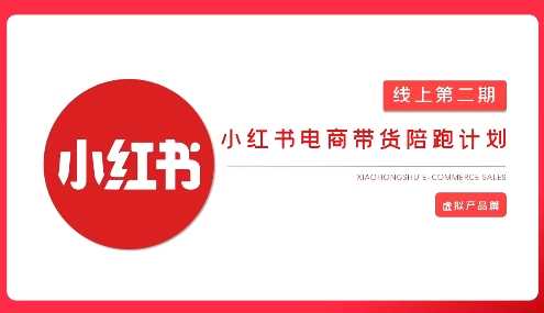2025小红书虚拟电商实战课，从0到1打造无货源店铺，AI+爆款笔记轻松变现-3YVIP资源库