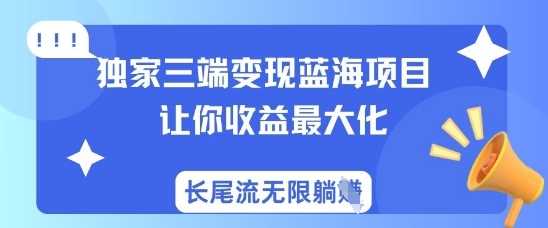 独家三端变现蓝海项目，让你收益最大化，长尾流无限躺挣-3YVIP资源库