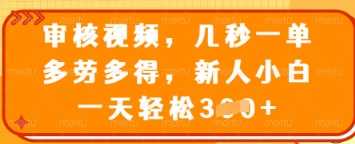 审核视频，几秒一单，多劳多得，新人小白一天轻松3张【揭秘】-3YVIP资源库
