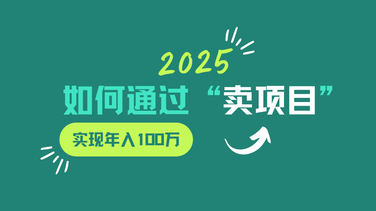 2025年如何通过“卖项目”实现年入100w-3YVIP资源库