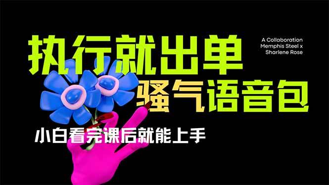 （14170期）爆火全网的开车导航骚气语音包,只要执行就出单，小白看完课程就能实操…-3YVIP资源库