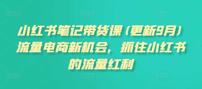 小红书笔记带货课(更新25年3月)流量电商新机会，抓住小红书的流量红利-3YVIP资源库