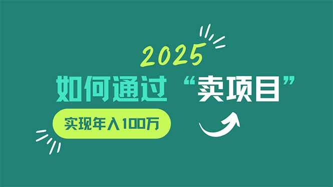 （14176期）2025年如何通过“卖项目”实现年入100万-3YVIP资源库