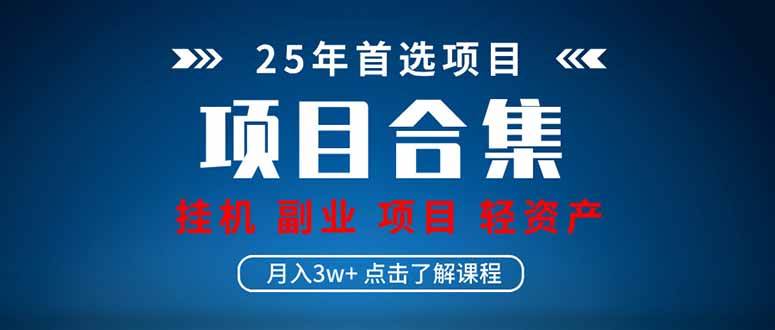 （14175期）2025 实操项目合集 挂机类型 直播类型 轻资产创业类型 课程分享各项目…-3YVIP资源库