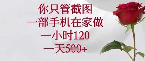 你只管截图，一部手机在家操作，一小时120.一天5张【揭秘】-3YVIP资源库