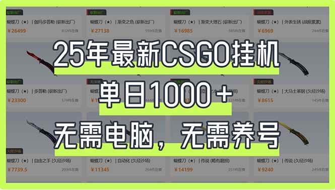 （14178期）25年最新CSGO挂机系统，单日1000+，无需电脑，无需养号，0基础可上手-3YVIP资源库