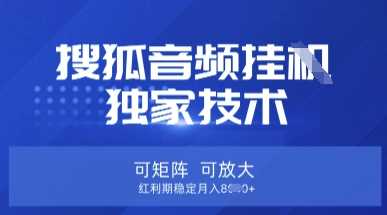 【搜狐音频挂G】独家技术，可矩阵可放大，红利期稳定月入8k【揭秘】-3YVIP资源库