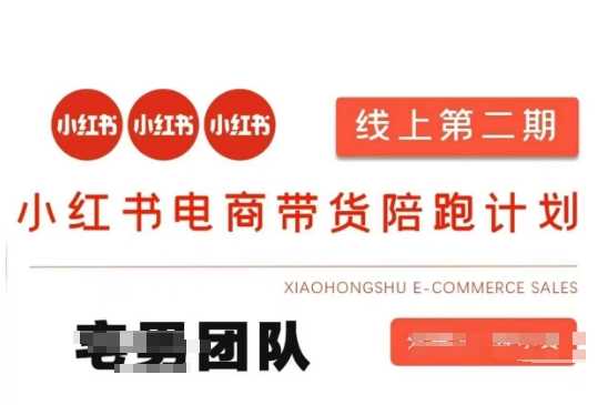 小红书电商带货课2期，月利润20个的小红书电商的有货源，无货源，虚拟产品，付费投流等整套玩法-3YVIP资源库