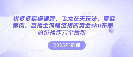 拼多多实操课程，飞龙在天玩法，真实案例，直播全流程链接的黄金sku布局原价操作六个活动-3YVIP资源库