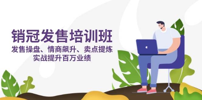 （14203期）销冠 发售培训班：发售 操盘+情商 飙升+卖点 提炼，实战提升百万业绩-3YVIP资源库