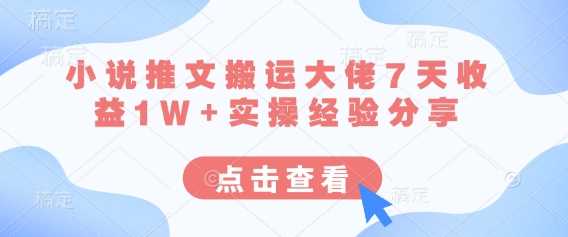小说推文搬运大佬7天收益1W+实操经验分享-3YVIP资源库