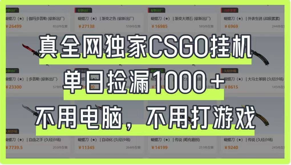 真全网独家CSGO挂机，单日捡漏1000+，不用电脑，不用养号-3YVIP资源库