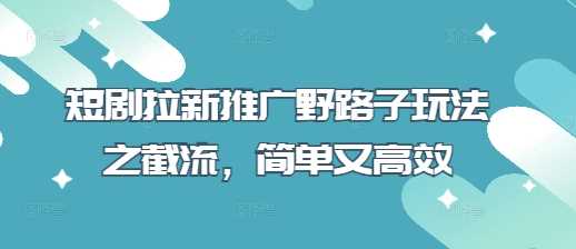 短剧拉新推广野路子玩法之截流，简单又高效-3YVIP资源库