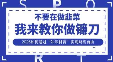 韭菜生涯终结者，我来教你做镰刀，2025如何通过“知识付费”实现财F自由【揭秘】-3YVIP资源库