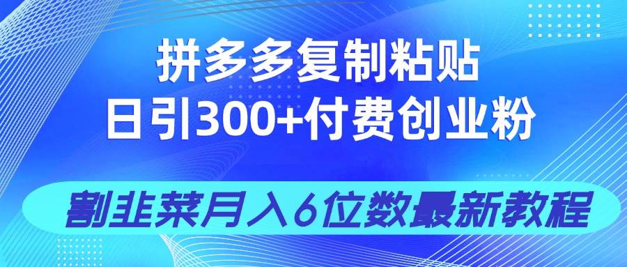 （14232期）拼多多复制粘贴日引300+付费创业粉，割韭菜月入6位数最新教程！-3YVIP资源库