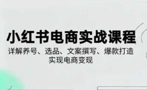 小红书从0-1实操课(2023-2025)，详解养号、选品、文案撰写、爆款打造实现电商变现-3YVIP资源库