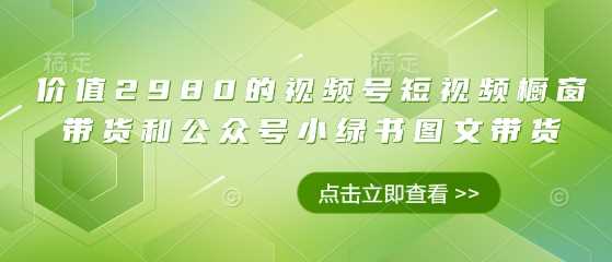 价值2980的视频号短视频橱窗带货和公众号小绿书图文带货-3YVIP资源库