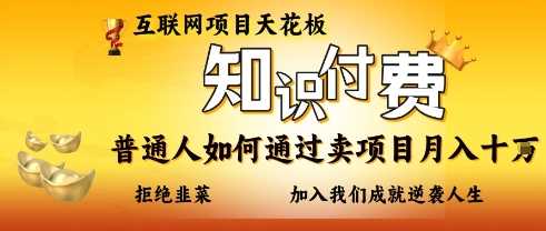 互联网项目天花板，知付付费项目，普通人如何通过卖项目月入十个，拒绝韭菜【揭秘】-3YVIP资源库