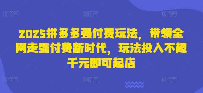 2025拼多多强付费玩法，带领全网走强付费新时代，玩法投入不超千元即可起店-3YVIP资源库