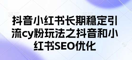 抖音小红书长期稳定引流cy粉玩法之抖音和小红书SEO优化-3YVIP资源库