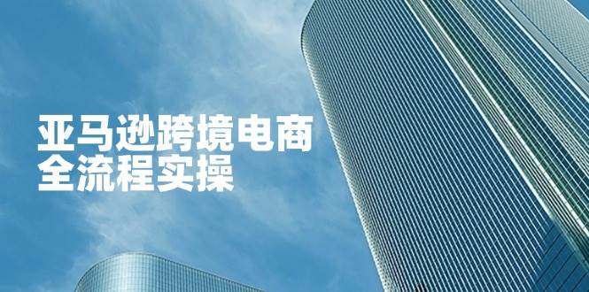 （14252期）亚马逊跨境电商全流程实操，教你从零开始，掌握店铺运营与广告技巧-3YVIP资源库