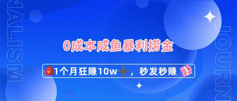 （14257期）0成本闲鱼暴利捞金，1个月狂赚10W+，秒发秒赚新玩法-3YVIP资源库