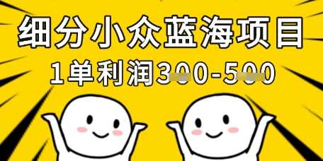 细分小众蓝海项目，一单利润3张，每月收入稳定过1w+-3YVIP资源库