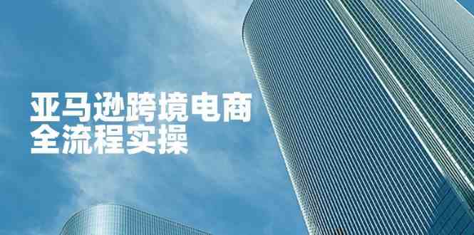 亚马逊跨境电商全流程实操，教你从零开始，掌握店铺运营与广告技巧-3YVIP资源库