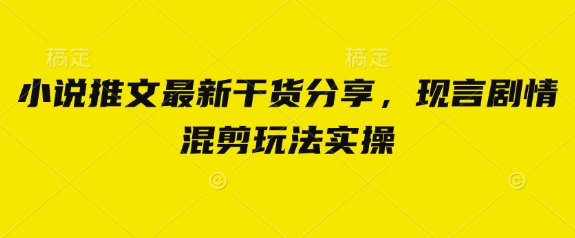 小说推文最新干货分享，现言剧情混剪玩法实操-3YVIP资源库