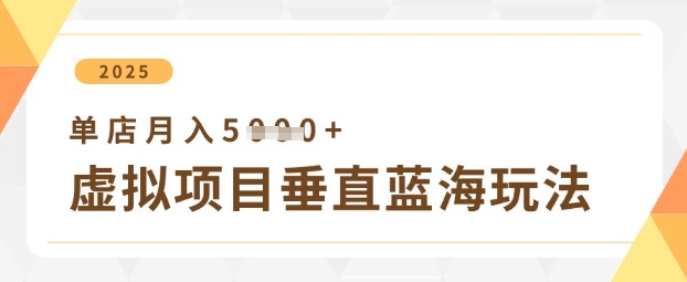 虚拟项目垂直玩法，实现单店月入5k+-3YVIP资源库