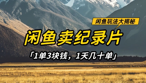 闲鱼卖纪录片1单3块钱，1天几十单，项目稳定有潜力-3YVIP资源库