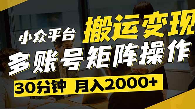 （14288期）得物平台变现新蓝海！无脑复制热门视频，多账号同步运营，每天半小时躺…-3YVIP资源库