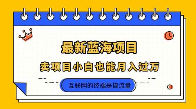 （14289期）2025年最新蓝海项目，卖项目小白也能月入过万-3YVIP资源库