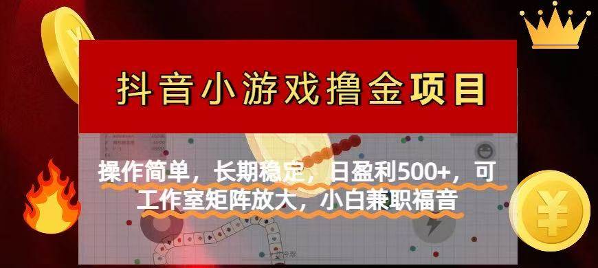（14290期）【抖音小游戏发行人计划项目】操作简单，长期稳定，日盈利500+，可工作…-3YVIP资源库