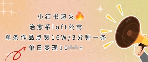 小红书超火的治愈系loft公寓，单条作品点赞16W，3分钟一条，单日变现数张-3YVIP资源库