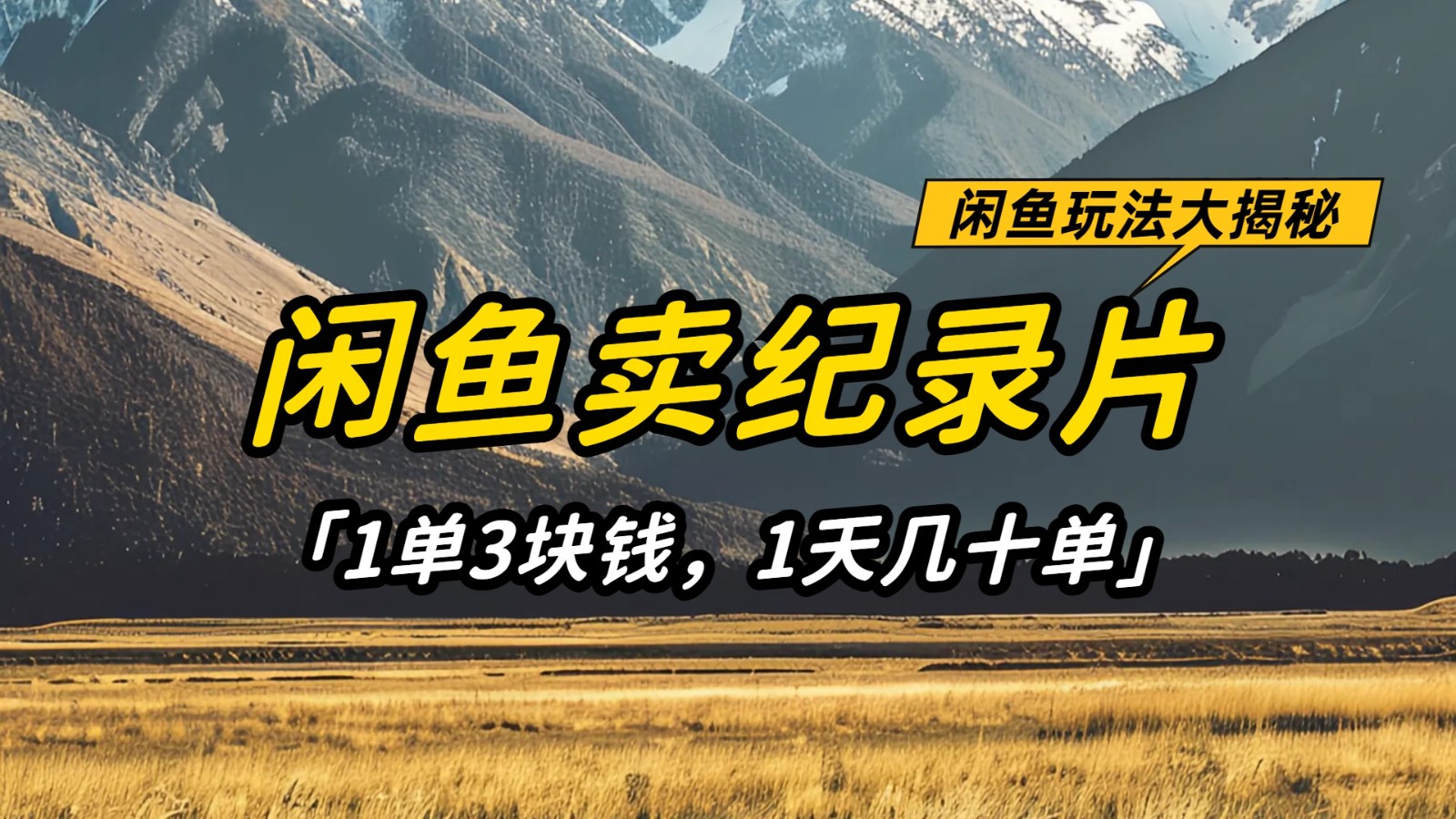 闲鱼卖纪录片，简单又赚钱的小项目，1单3块钱  1天几十单-3YVIP资源库