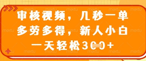 最新审核视频，几秒一单，多劳多得，新人小白一天轻松3张【揭秘】-3YVIP资源库