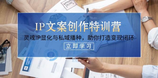 IP文案创作特训营，灵魂IP显化与私域播种，助你打造变现闭环（14节课）-3YVIP资源库