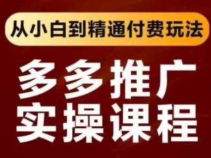 拼多多推广实操课程，从小白到精通付费玩法-3YVIP资源库