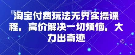 淘宝付费玩法无界实操课程，高价解决一切烦恼，大力出奇迹-3YVIP资源库