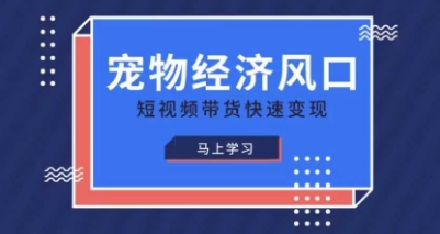 宠物赛道快速变现精品课，宠物经济风口，短视频带货快速变现-3YVIP资源库