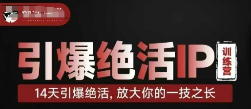 引爆绝活IP训练营，14天引爆绝活，放大你的一技之长-3YVIP资源库