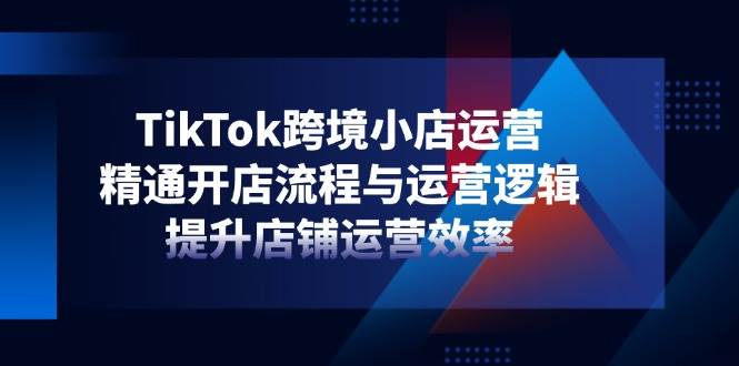 （14369期）TikTok跨境小店运营，精通开店流程与运营逻辑，提升店铺运营效率-3YVIP资源库
