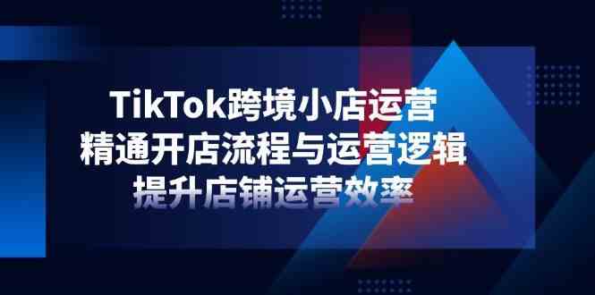 TikTok跨境小店运营，精通开店流程与运营逻辑，提升店铺运营效率-3YVIP资源库