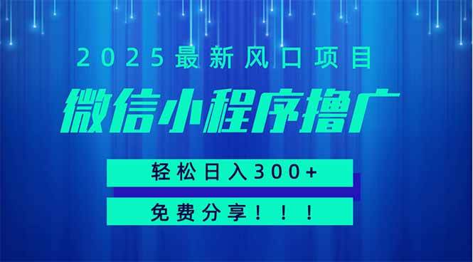 （14375期）微信小程序撸广，最新风口项目，日入300+ 免费分享 可批量操作 小白可…-3YVIP资源库