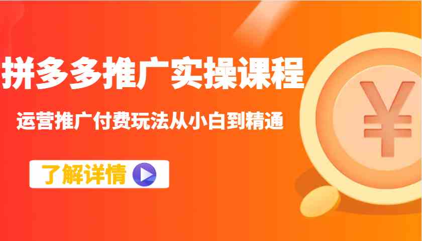 拼多多推广实操课程：运营推广付费玩法从小白到精通-3YVIP资源库