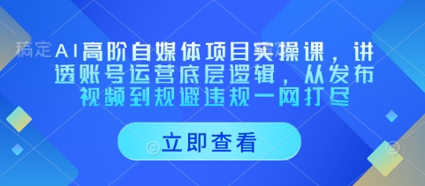 AI高阶自媒体项目实操课，讲透账号运营底层逻辑，从发布视频到规避违规一网打尽-3YVIP资源库