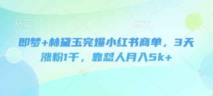 即梦+林黛玉完爆小红书商单，3天涨粉1千，靠怼人月入5k+-3YVIP资源库